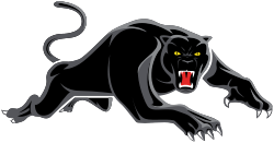Panthers logo